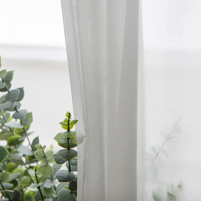 Schlichter transparenter Voile-Vorhang für Wohnzimmer